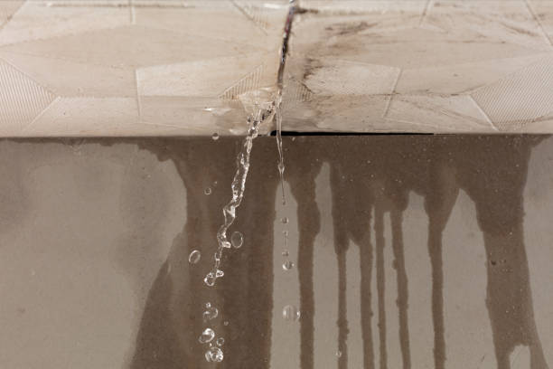 Professional Burst Pipe Cleanup technician working in Newton, MS
